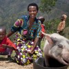 Violette and her son Lievain with the pig she has bought from the profits of her business at her home in Burundi. Photo: Abbie Trayler-Smith Violette and her son Lievain with the pig she has bought from the profits of her business at her home in Burundi. Photo: Abbie Trayler-Smith