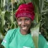 Malawian woman in a field of maize