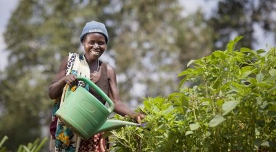 Euphemia Inina waters their market garden at her home in Mabayi, Cibitoke, Burundi. As part of the Graduation Programme all participants are given seeds and training on how to grow food in their gardens. Photo: Abbie Trayler-Smith / Concern Worldwide