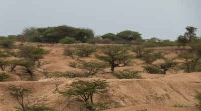 The harsh landscape between Hargeisa and Borama. Photo: Eamon Timmins/Concern Worldwide