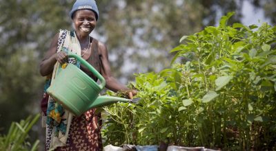 Euphemia Inina (42) mother of Alphonsine Niyonzima (21) waters their market garden at her home in Mabayi, Cibitoke. As part of the Graduation programme all participants are given seeds and training on how to grow food in their gardens. Photo: Abbie Trayler-Smith / Concern Worldwide.
