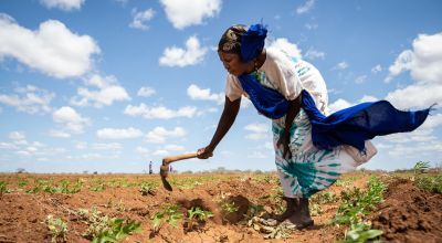Mwanajuma Ghamaharo tends to her irrigated plot of mung beans in Makere village in Tana River County. Photo: Lisa Murray/Concern Worldwide