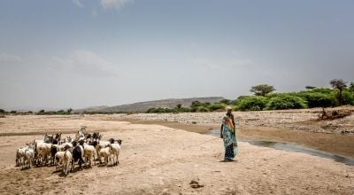 In the arid landscape of Somaliland's Baki District, a young woman cares for her goats, facing the harsh reality of drought. Petrus/Welthungerhilfe