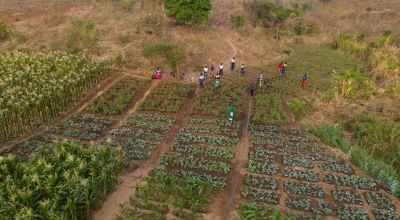 This Samu village scheme is using climate smart agricultural practices to mitigate the effects of climate change in the region, Mwanza District. Photo: Chris Gagnon/Concern Worldwide