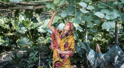 Woman farming in Bangladesh 