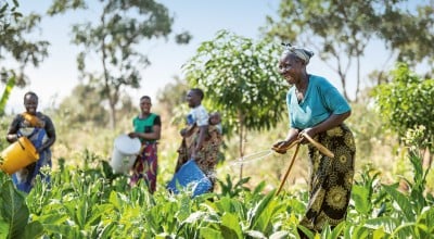 Global Hunger Index 2024 cover