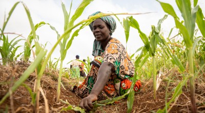 Mwanaesha Haluwa Haji tends to a plot of maize in Makere village in Kenya’s Tana River County. Photo: Lisa Murray/Kerry Group/Concern Worldwide