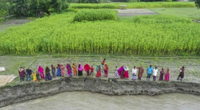 Riverbank erosion in Vati Kapasia, Bangladesh. Photo: Saikat Mojumder/Concern Worldwide