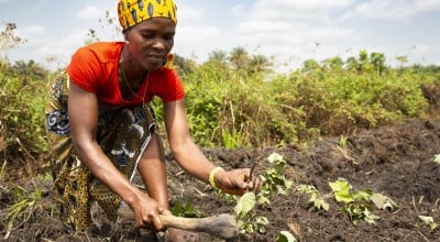 A person in a red shirt, patterned pants, and a yellow headscarf with blue patterns is working in a field. They are holding a small plant in one hand and using a hoe with the other to tend the soil. The background features green vegetation and trees under a partly cloudy sky. 