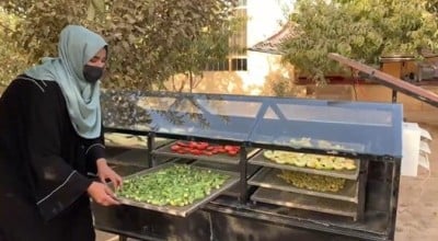 Solar dryer for food preservation in Afghanistan. Photo: Concern Worldwide.