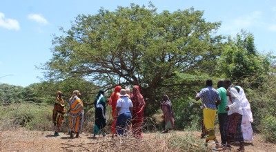 Handaraku Women’s Group walk towards their beehives, Tana River. Photo: Charlotte Woellwarth,Concern Worldwide.