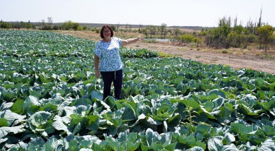 Maryna in her field with late-season cabbage, in Bila Krynytsia village, Mykolaiv region. Maryna received an agricultural grant from JERU after much of her land and equipment was damaged in the conflict. shows. Photo: Olena Horyacheva/UABSC