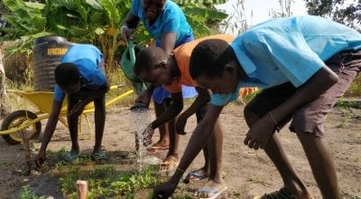 Watering guava seedlings, Babcok School Environment Club, BRACED Programme, South Sudan, 2017. Photo: Michael Mulpeter / Concern Worldwide.