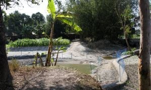 Netted small pond beside banana trees, crop filed, famed vegetation and bamboo thickets beside local houses, Dhubni village, Singimari Union, Hatibanda, Lalmonirhat, 2019.