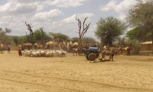 Water collection at Mesajid shallow well, Somali Region, Ethiopia