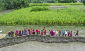 Riverbank erosion in Vati Kapasia, Bangladesh. Photo: Saikat Mojumder/Concern Worldwide
