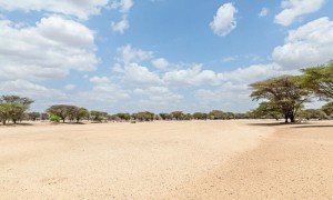 A dry river basin in Kangalita, Turkana, Kenya. The region has been severely affected by drought. Photo: Natalia Jidovanu/Concern Worldwide