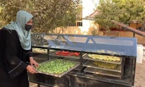 Solar dryer for food preservation in Afghanistan. Photo: Concern Worldwide. 