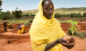 Ethiopia, 2012. Photo credit: Mikkel Østergaard/Panos Pictures.