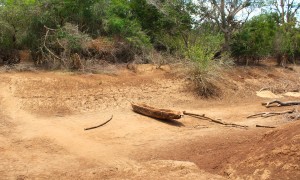 Lazima Community, Tana River, Kenya. October 2025. Photo Charlotte Woellwarth Concern Worldwide.