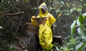 David Gargar at a beekeeping project in Neakai community, Rivercess County, Liberia, part of the Irish Aid funded LIFE programme Photo: Kieran McConville/Concern Worldwide.
