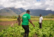 Concern staff member Timothy Kampira comes to advise two farmers in Phalombe, Malawi. Photo: Chris Gagnon/Concern Worldwide
