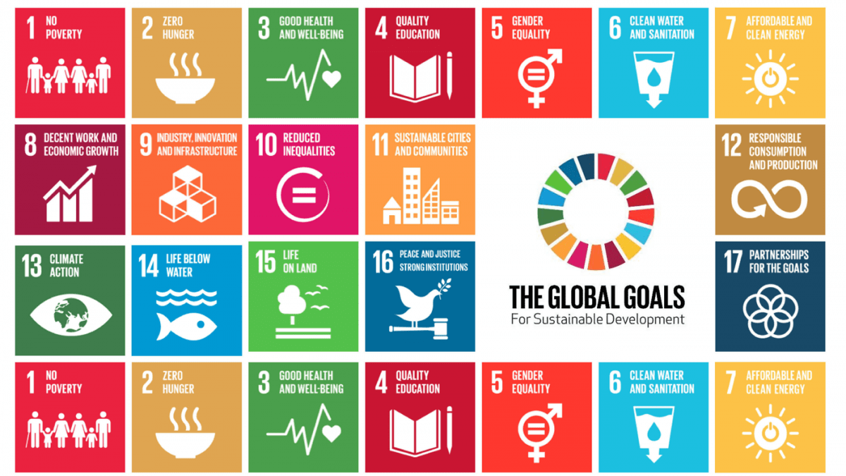 sustainable development goals case study