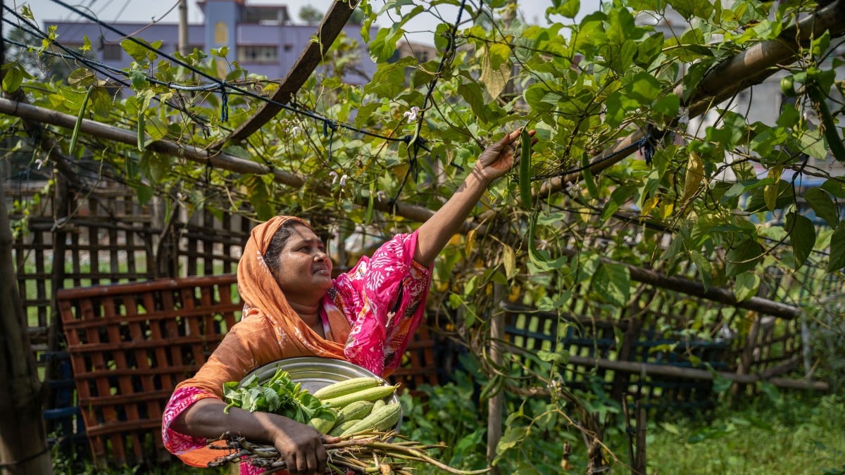 Lessened Hunger Less is not more in the face of hunger | Concern Worldwide
