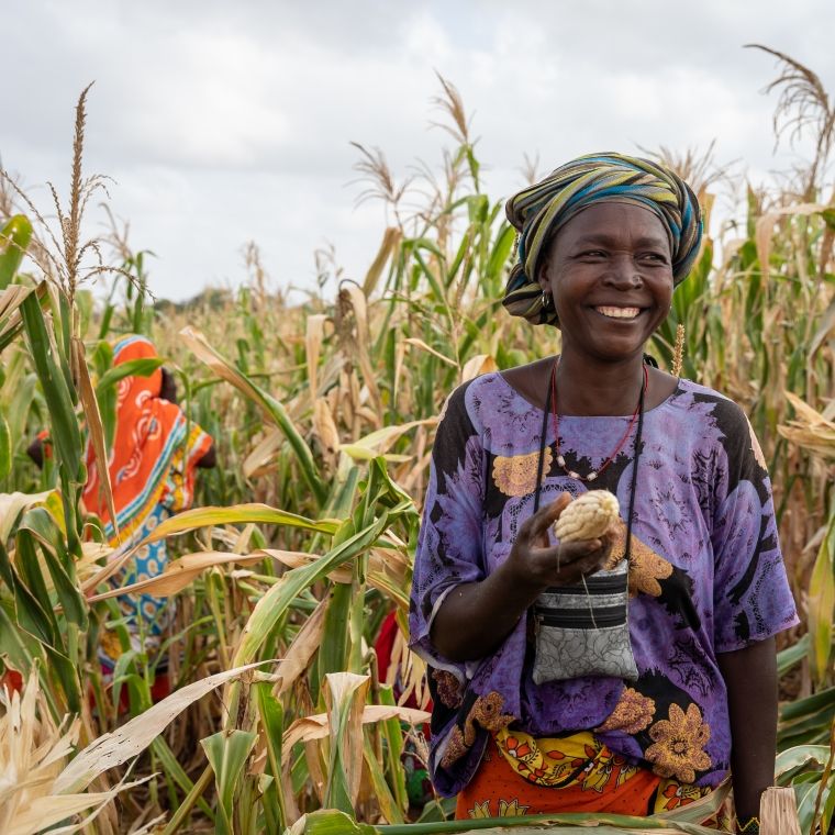 Smiling woman harvests maize from a communal farm in Makere village in Kenya’s Tana River County.